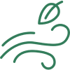Icon wind
