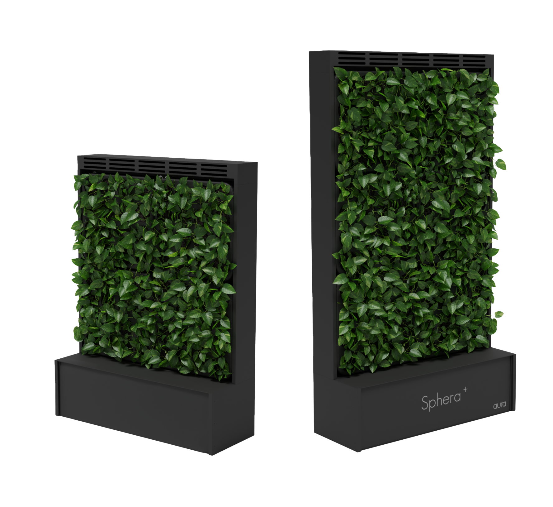 Render pareti Aura